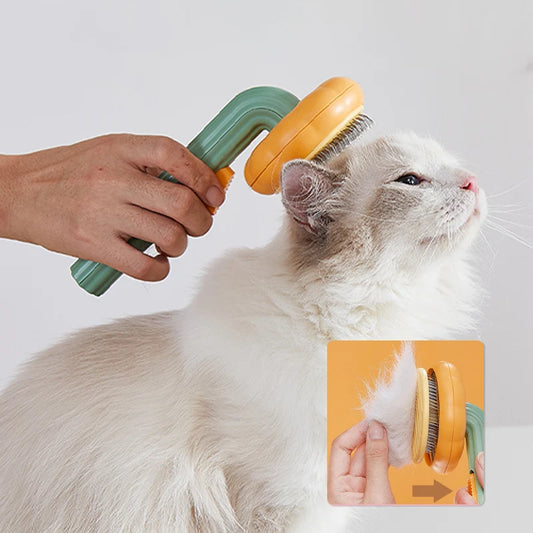 Pet Pumpkin Comb