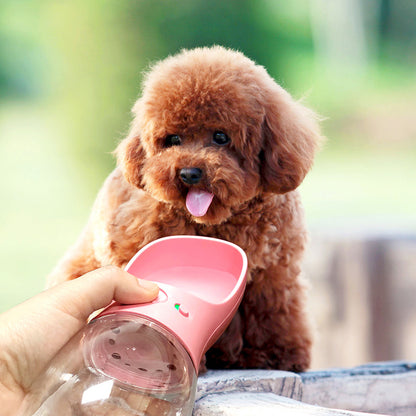 Pet water cup