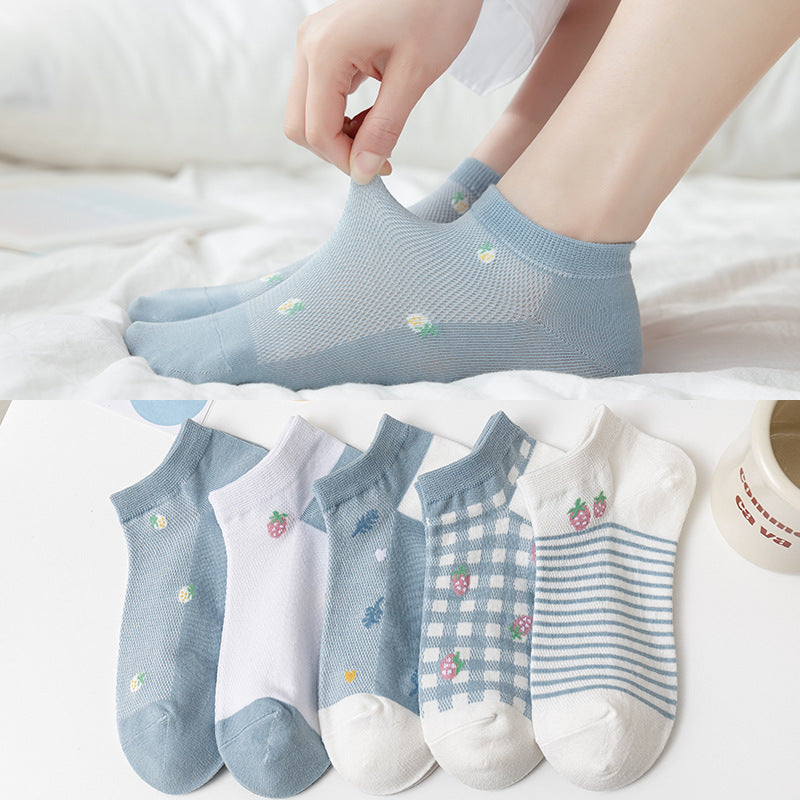 Socks 5 pairs set