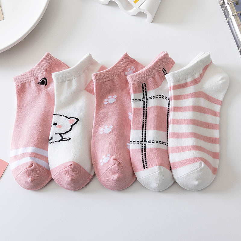 Socks 5 pairs set