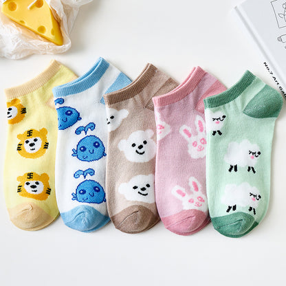 Socks 5 pairs set