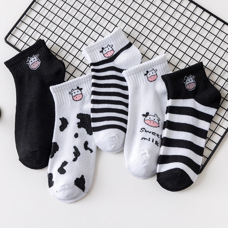 Socks 5 pairs set