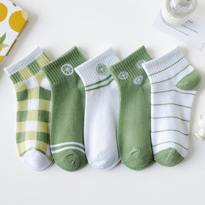 Socks 5 pairs set